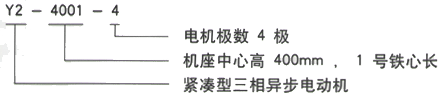 YR系列(H355-1000)高壓三相異步電機(jī)西安西瑪電機(jī)型號說明 YR系列(H355-1000)高壓三相異步電機(jī)西安西瑪電機(jī)型號說明